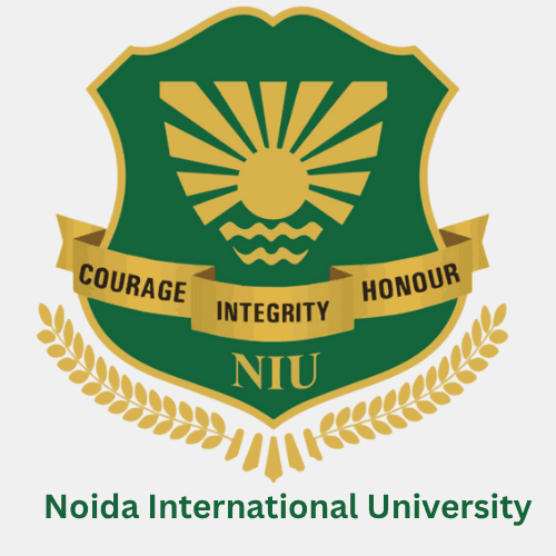 Noida International University