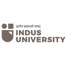 Indus University