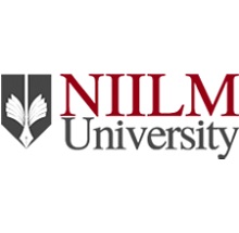 NIILM University
