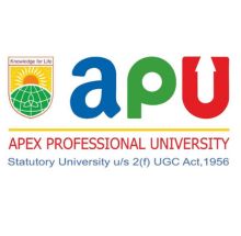 Apex Professional University (APU), Arunachal Pradesh